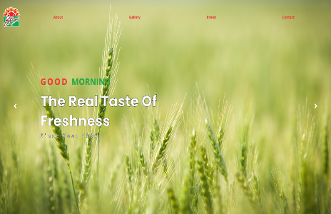 Good Morning Myanmar